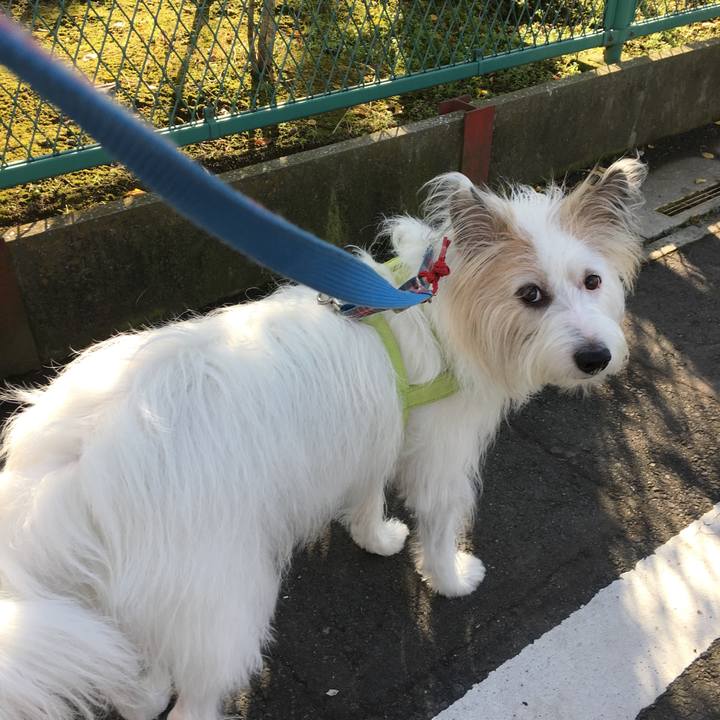 9d2b96dc 7a48 46f7 8d5f 5541efb6e172