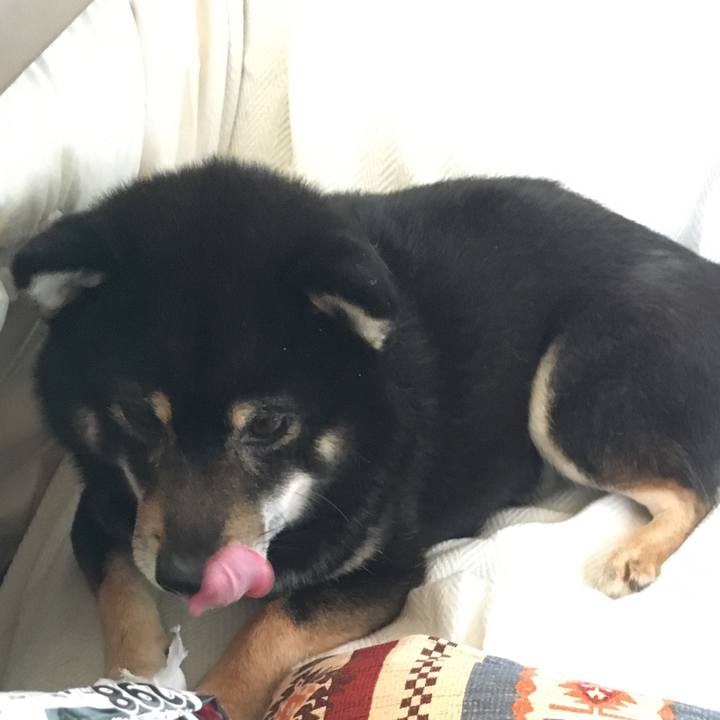 9d2cbb6d a590 4bde 8739 f072ef817051