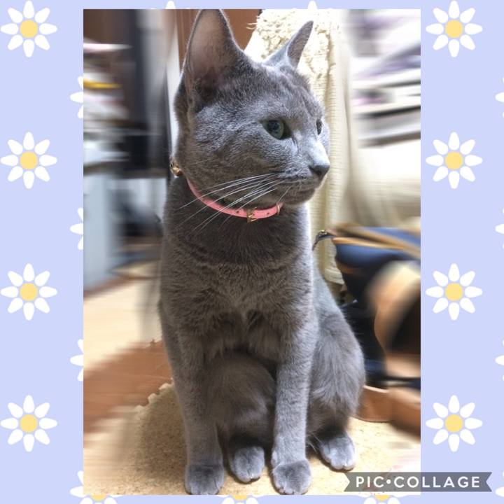 9d2cf930 d225 408b ab3f 6a347647757a