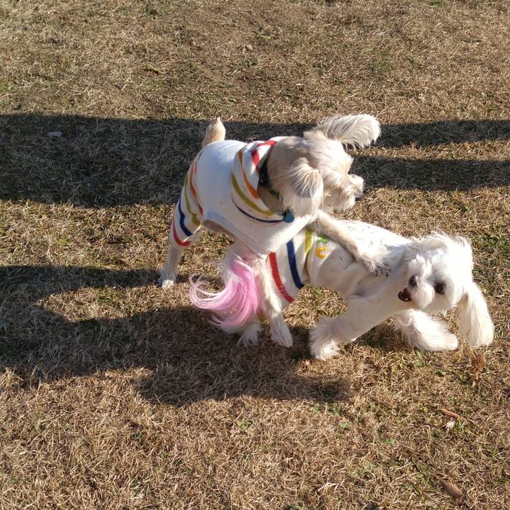 9d2d2bfd a929 4365 a802 d986a6db41d4