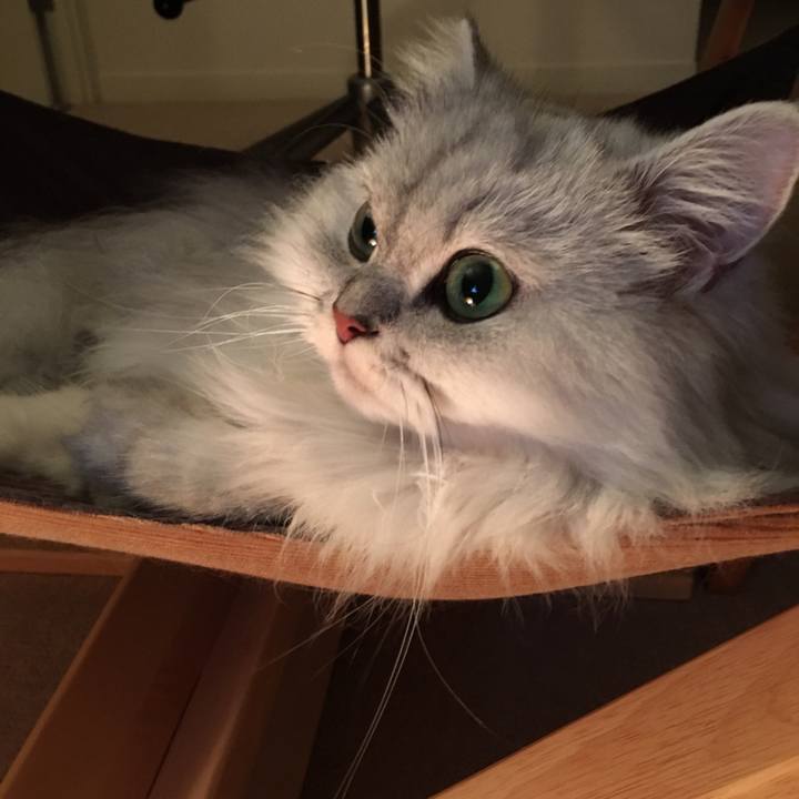 9d2d4dfe 5912 4d56 b26e 3fa9b02dd1d5