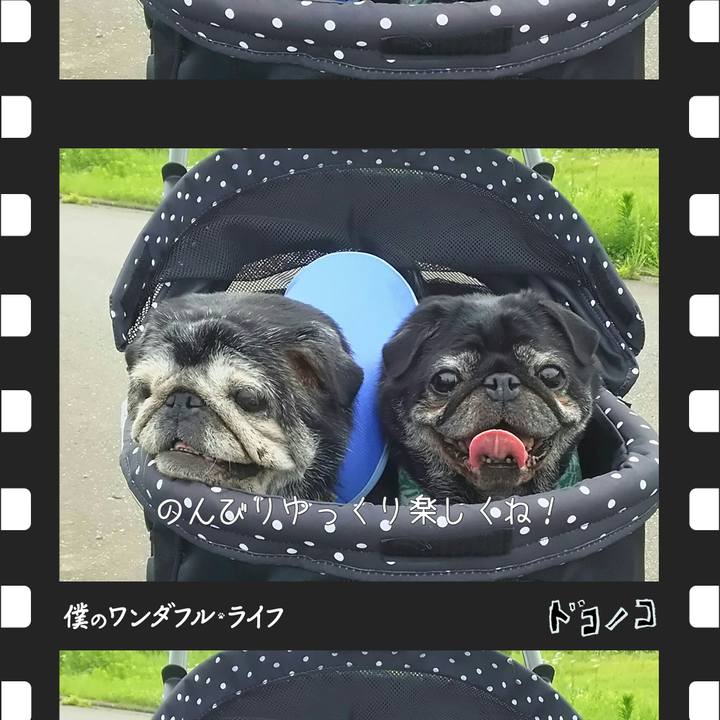 9d2d738a 3c2b 47a1 8fa4 72284db3817b