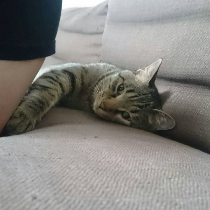 9d2dba2b e3f0 42ca 8234 a22e2d242792