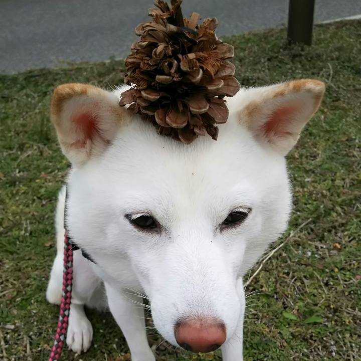 9d2dfe59 a9e1 45aa b673 dbea94d00732