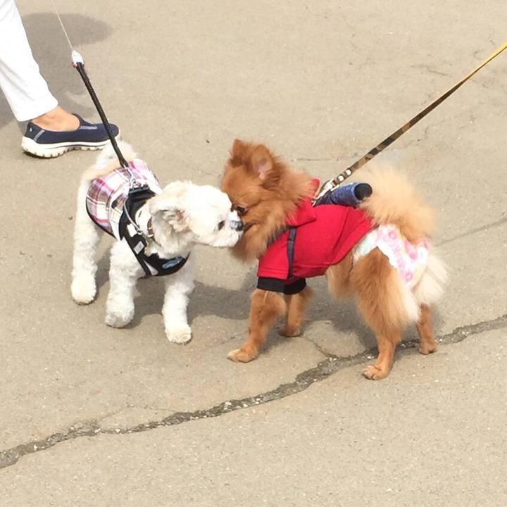 9d2e1703 4691 4ed4 b930 407fab12b680