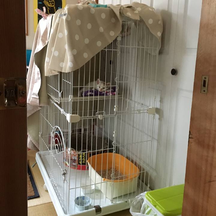 9d2e3934 4bb6 4af2 8afc 6f7915043517