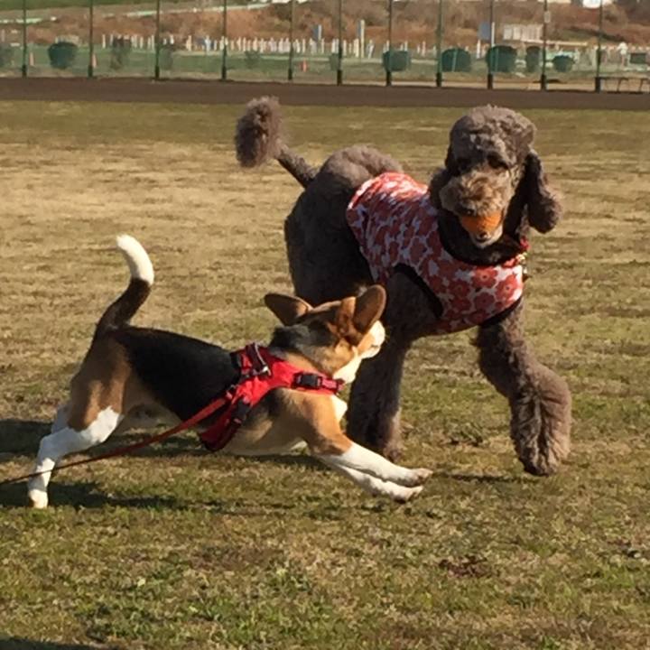 9d2e54a5 bd40 4d78 a5df fb6e05c0c1d3