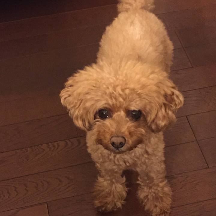 9d2e8ccf a59b 44ce 9bd1 1ff713e3574c