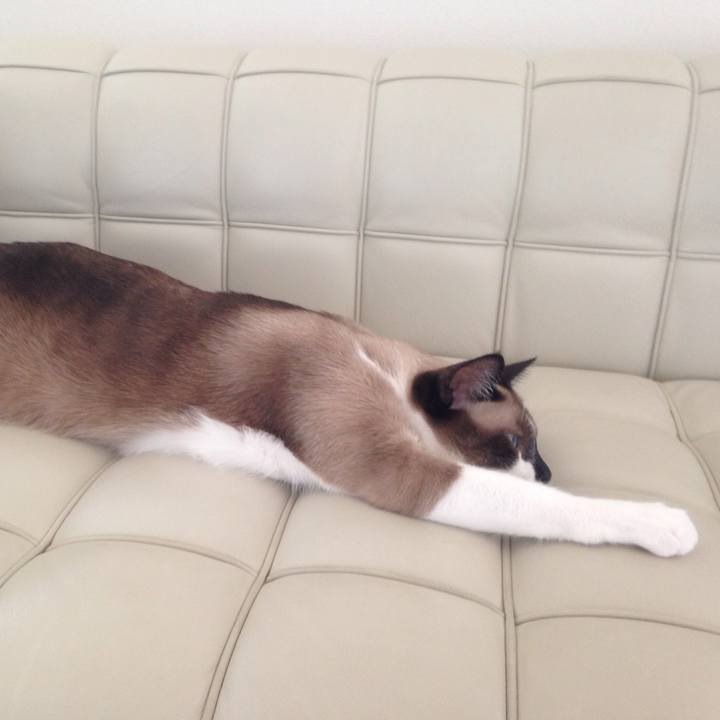 9d2eb993 2bc5 4163 aa06 d806a5fa981a