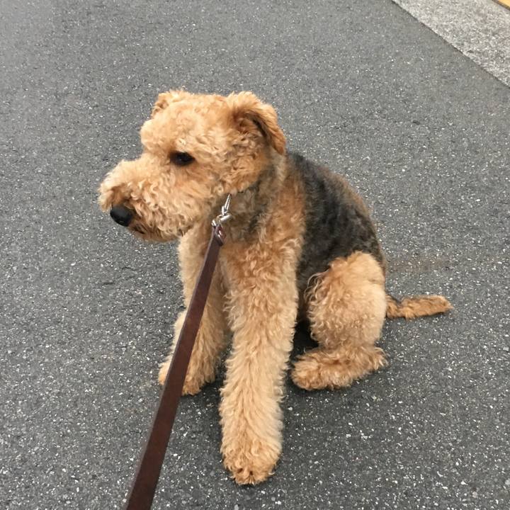 9d2ebc94 e9fd 4648 87c0 e367872d786f