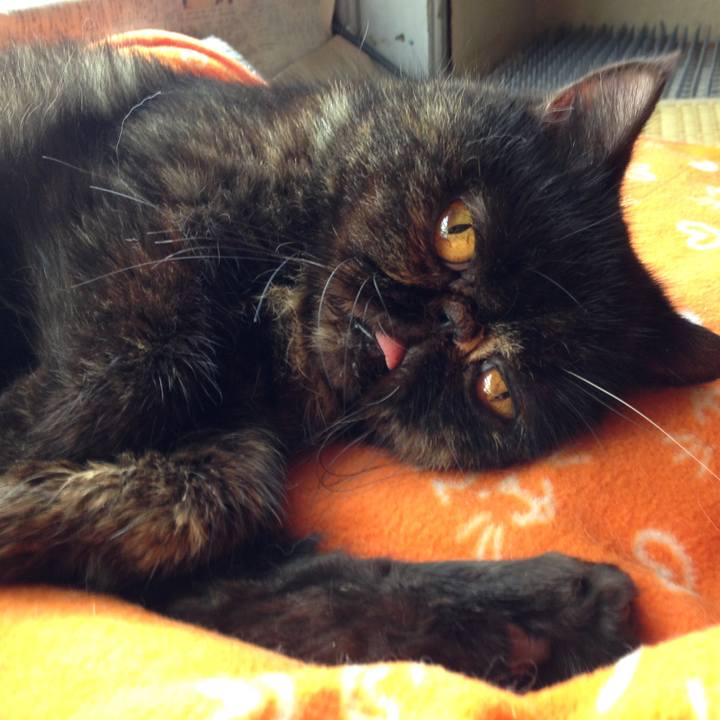 9d3029b9 b4d7 472c 840a fc632c8d2e28