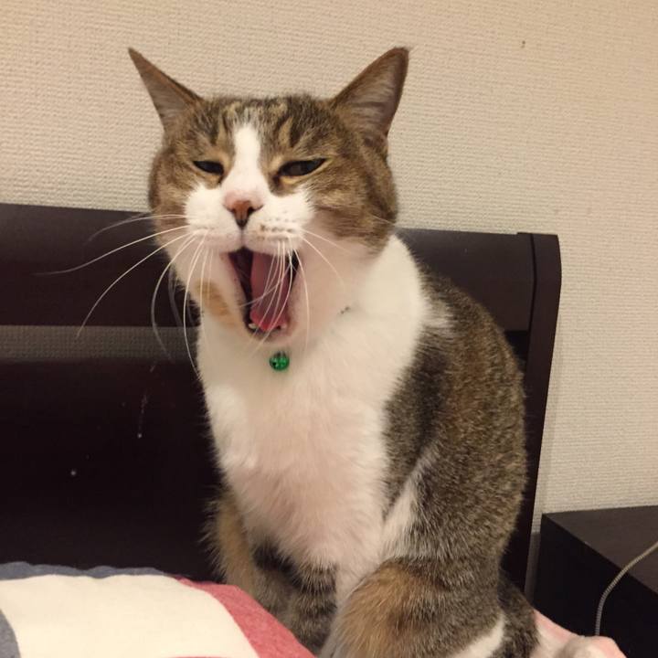 9d306e34 5a24 43c0 8f16 292da60540f9