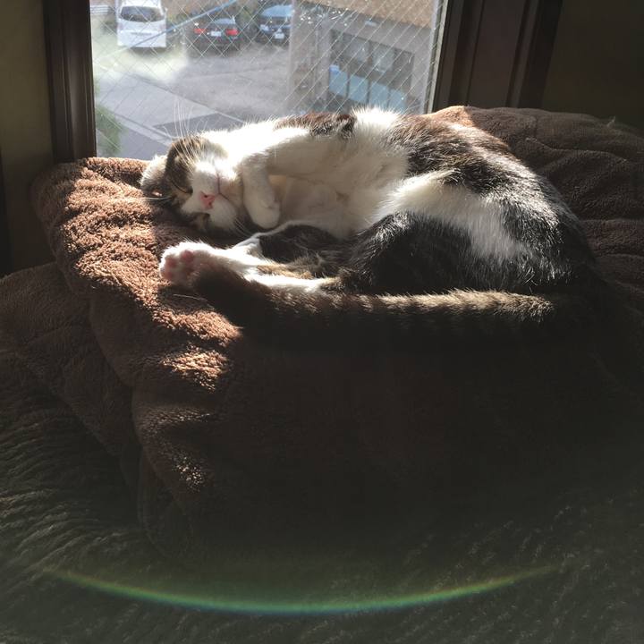 9d3091b8 16d6 42d8 a389 8043ecc013d6