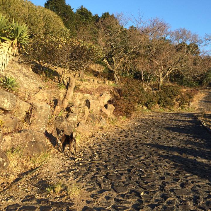 9d30937c 4001 438d aa19 4615c764d8f7