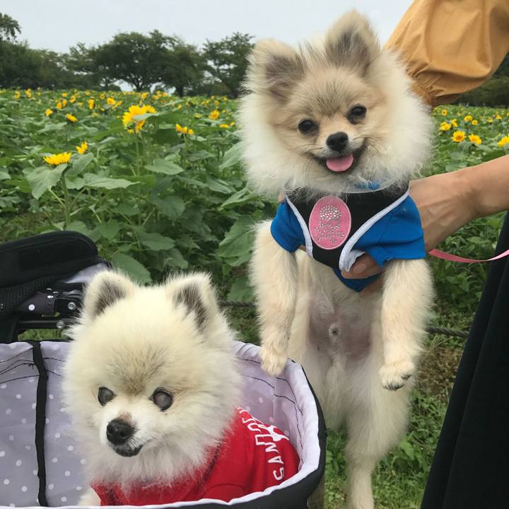 9d30bbf1 db10 4eab 9fc3 6dfe7922cc6f