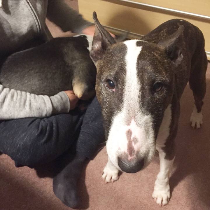 9d30bf09 a823 4208 95ab c3872a7971fc