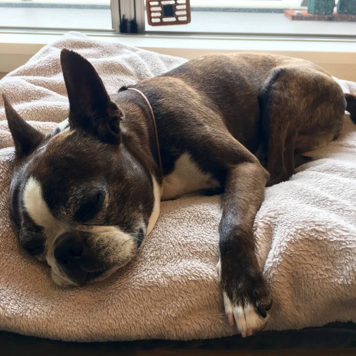 9d30e8e9 11dd 415b 8c9b 8ec42bef0412