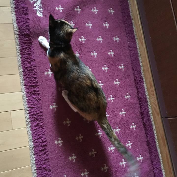 9d31a542 06e6 433b 8a77 c81e57f705fa