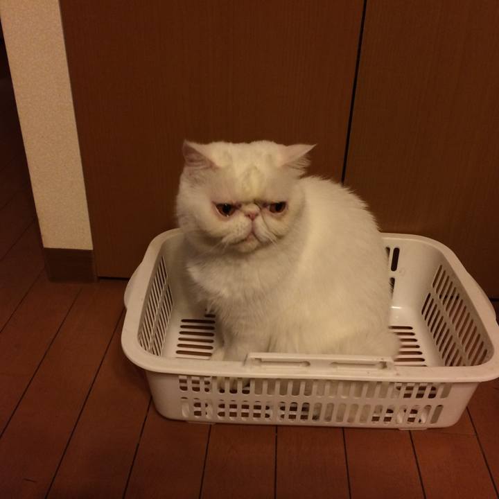 9d31b4cd 0237 4057 a5a7 701e238f9cb1