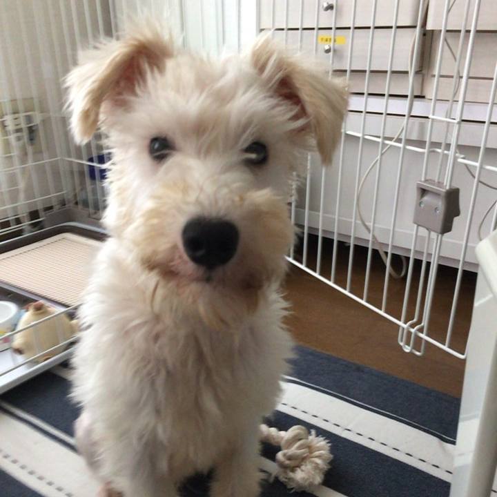 9d32ac43 514d 440d ac72 d65f93c5d03e