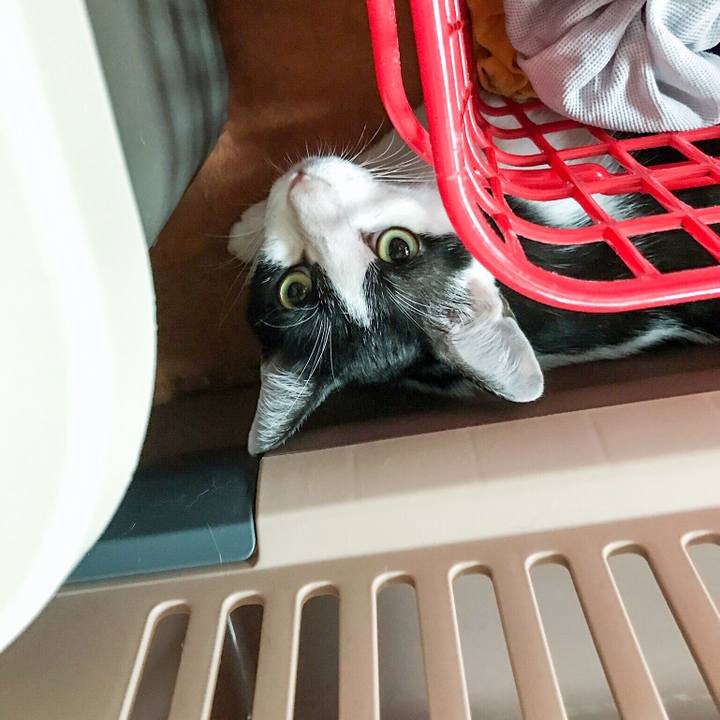 9d32c812 eee4 4797 9bc4 bfe4d13ef5c0