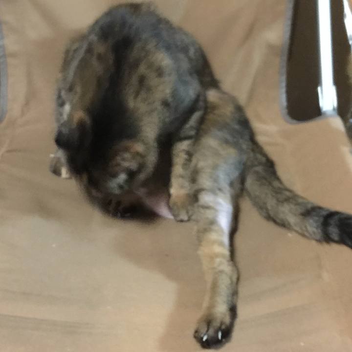 9d32d024 2cdc 4cb5 b6cc a8131b83d099