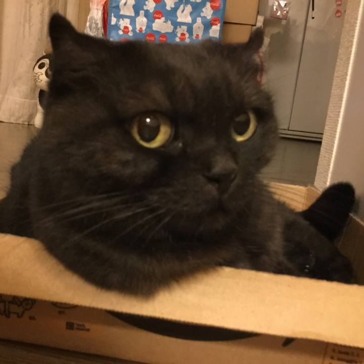 9d32eda4 39dc 401c bef7 7d2e36463597