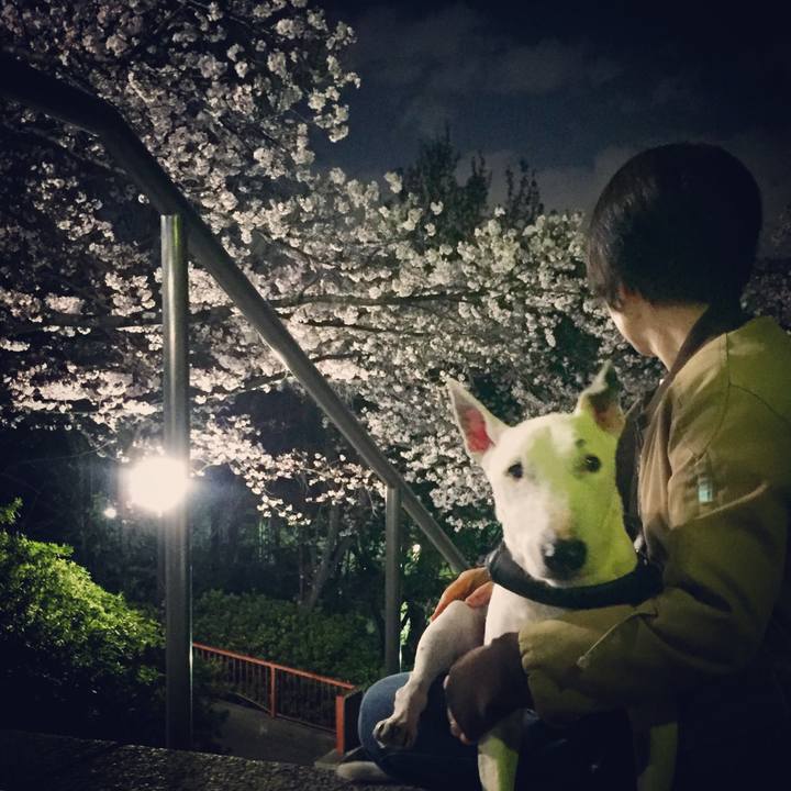 9d32f37a 6382 40d9 99ab b4bed8181c28