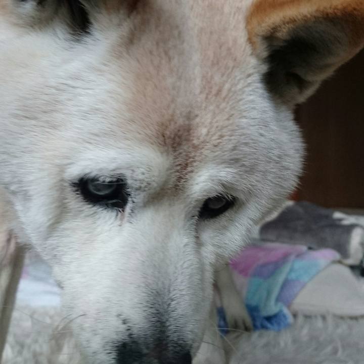 9d32fefa 1827 4347 94a8 bc893432f835