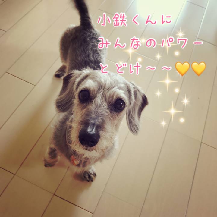 9d33975f 6101 4461 8a41 305ad48b785d