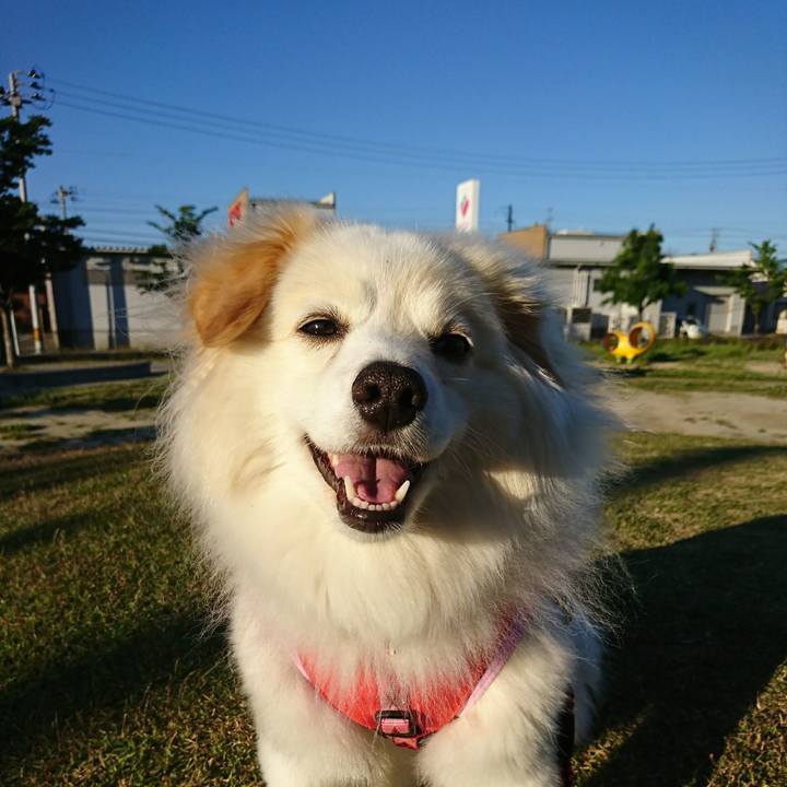 9d34aaef 1db4 495e be04 6cc7bdbf12fc