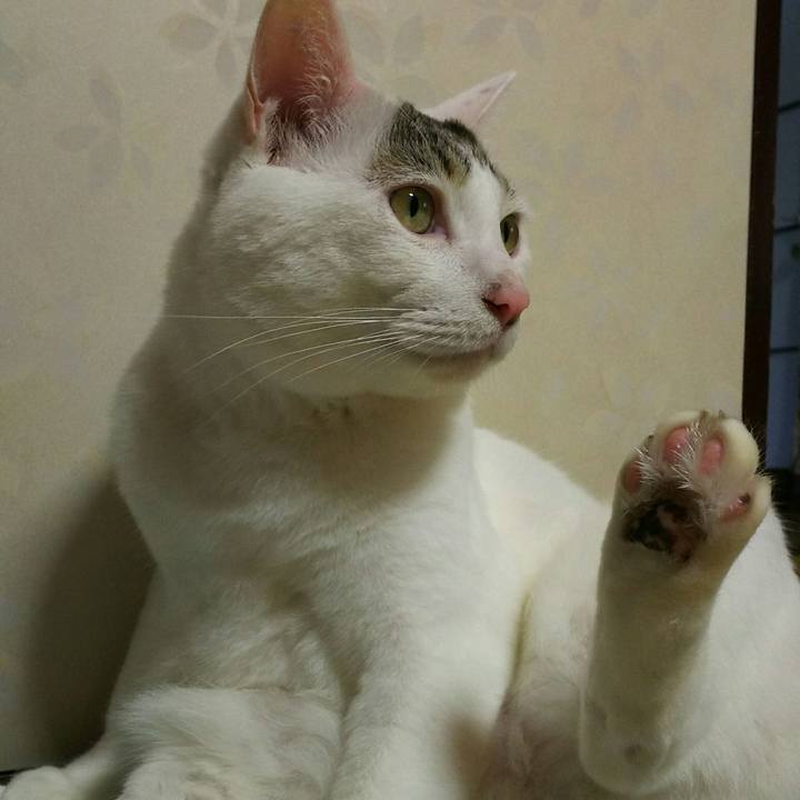 9d3559a7 9a2d 451c 92d4 3200e1375d75