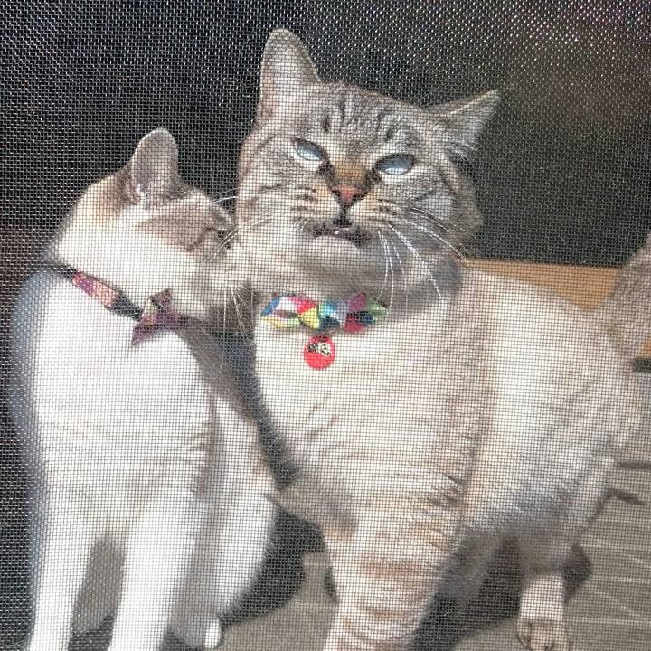 9d35e863 0458 4b51 8ab9 8d005beab3e9