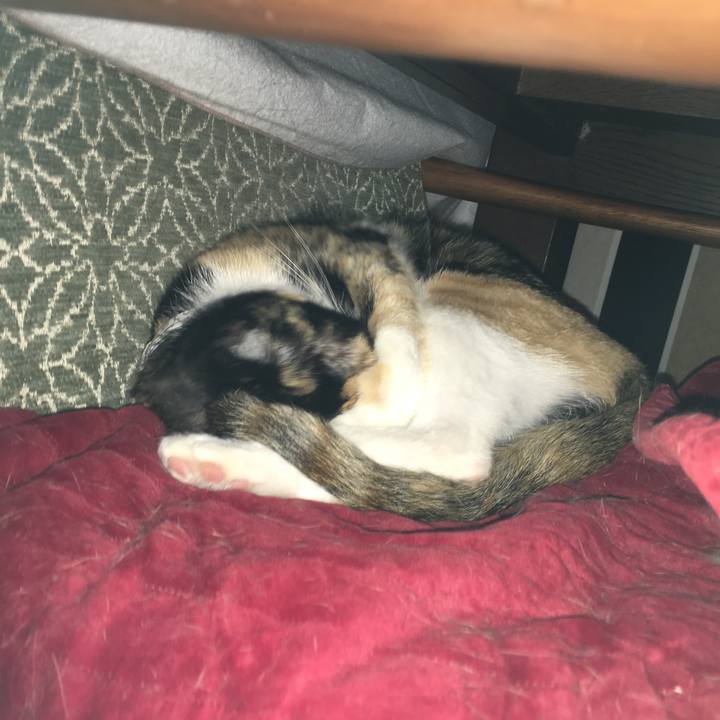 9d36b505 f12a 4f5b 8bc8 af2bf99f570c