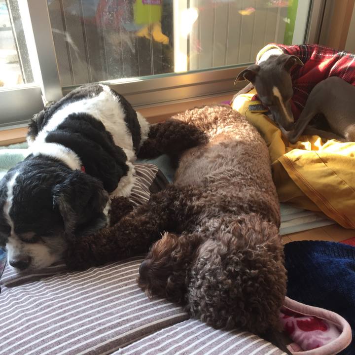 9d36ff0e a582 415e 81ee 9d5f4977f736