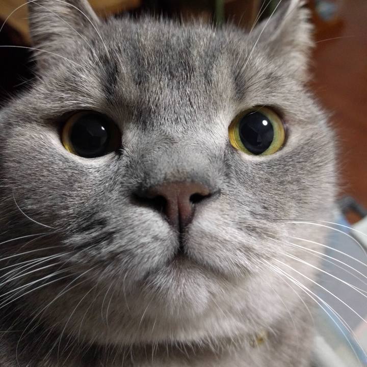 9d37fcdc 68fc 4fa9 aec0 0b24c8aa8355