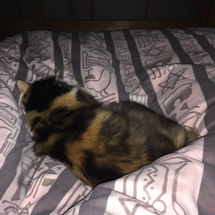 9d389ff6 282a 465a a6d2 d3f20c2909cc