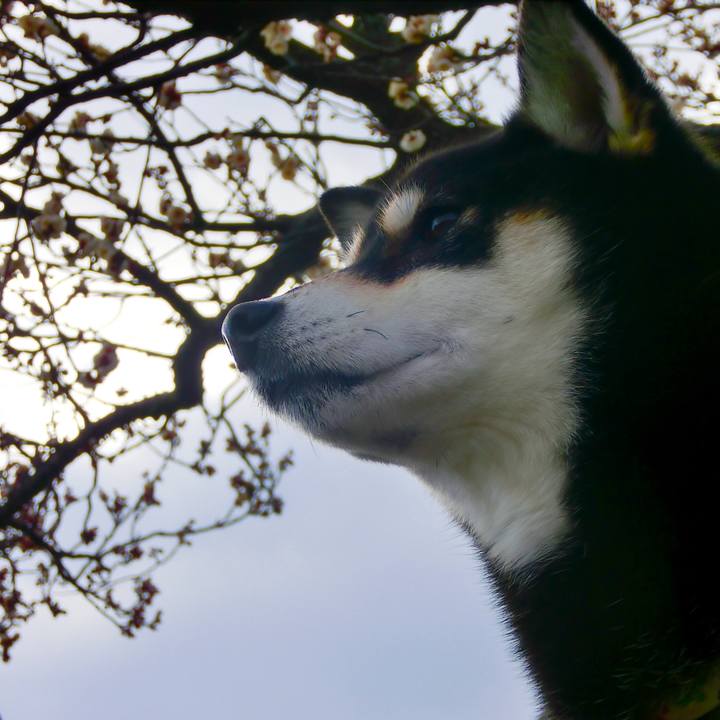 9d3920d1 2be3 4903 bf3e cc39e946e4a9