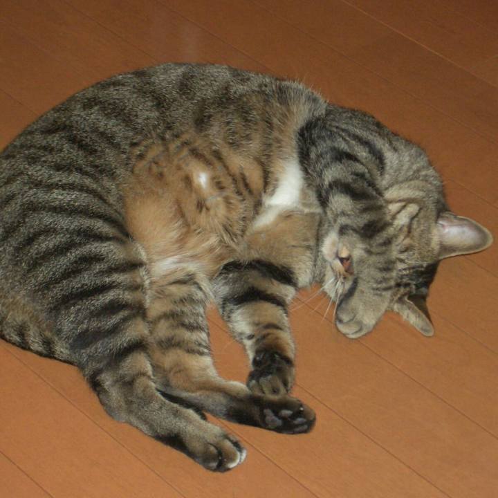 9d3a236d bcfd 42ad b842 83415fdd301d