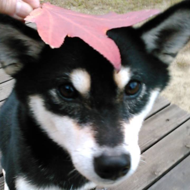 9d3a23c2 31cd 4a5e 8ce6 96cb32ec2fde