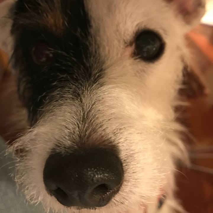 9d3b983c 48a1 4ef0 a6c8 350d60636afa