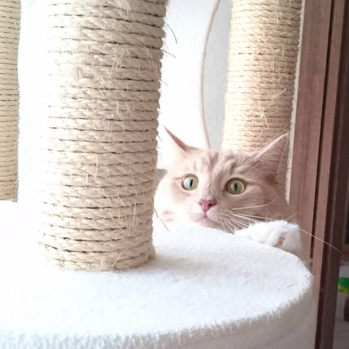 9d3be5f6 03fb 4172 a4e8 fc4d546b16ac