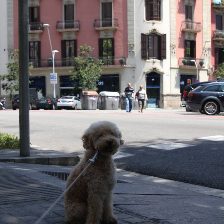 9d3c289b 2c32 4286 b8fa bbe4c4cea3f5