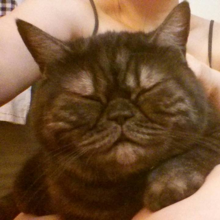 9d3c8718 c2d5 491e a942 c5c3f72ba2a3