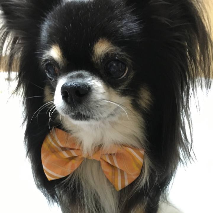 9d3c87c2 3fb5 4a29 956a b6a5b1b5891a