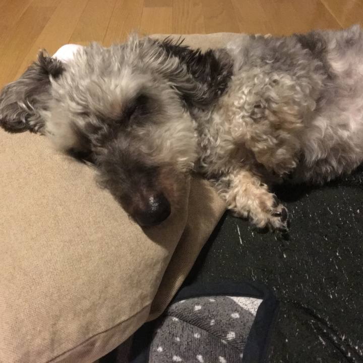 9d3c8aad 94cc 40a5 ad96 8d2e979f1c8e