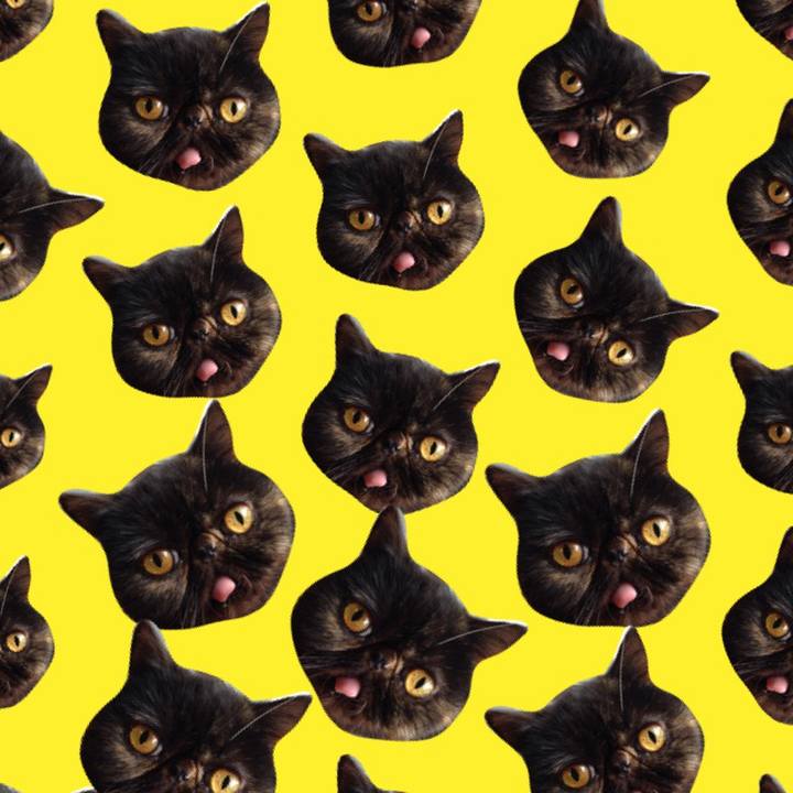 9d3ce7e9 3e56 4b5d 9b04 e203e89c5da2