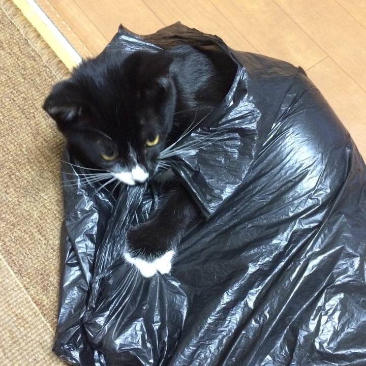 9d3d6c7d 62d7 444b 8117 f1cfd8d7d49e