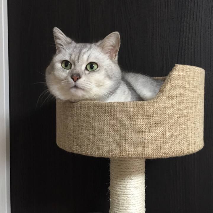 9d3d9101 6643 4adf 92ad c33aa8fe05cc