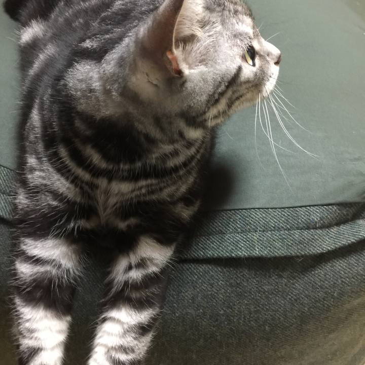 9d3da14b ccab 4174 a16e b536f27a9dc1